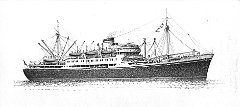 1946 - Ugolino Vivaldi
